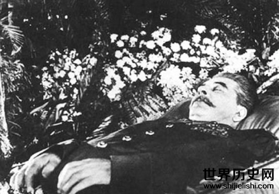 斯大林的死因调查记录